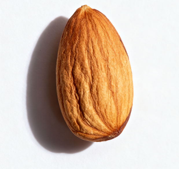 康都科普小课堂——黄褐斑常用中药系列第三讲：桃仁