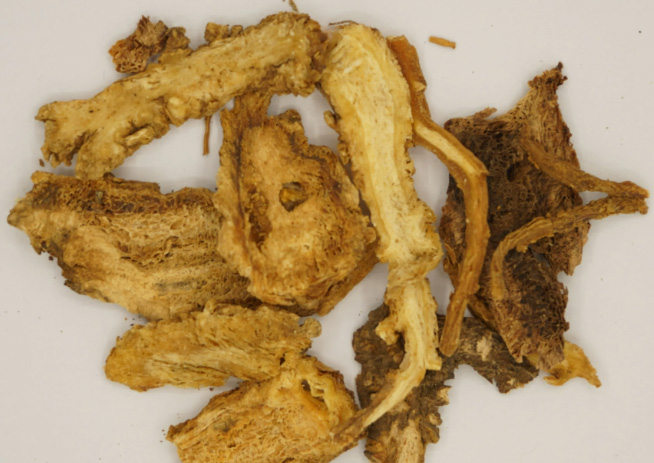 康都科普小课堂——亮肤常用中药系列第一讲：当归