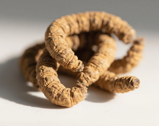 康都科普小课堂——黄褐斑常用中药系列第二讲：僵蚕