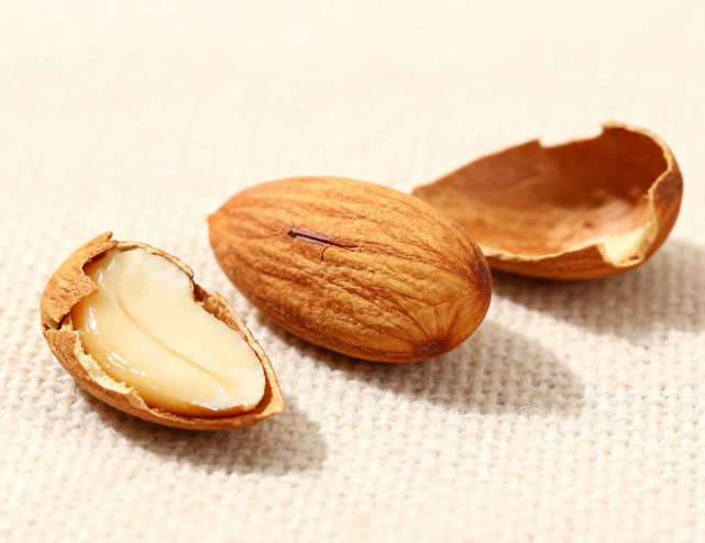 康都科普小课堂——黄褐斑常用中药系列第三讲：桃仁