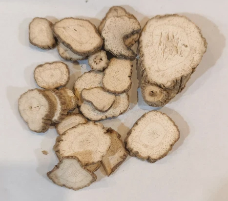 康都科普小课堂——黄褐斑常用中药系列第一讲：白芷