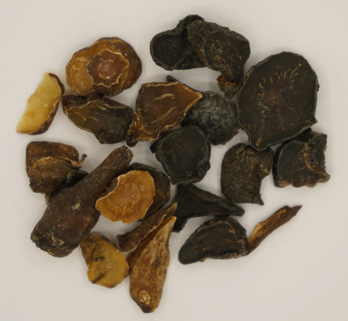 康都科普小课堂——亮肤常用中药系列第八讲：附子