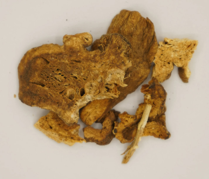 康都科普小课堂——亮肤常用中药系列第六讲：白术