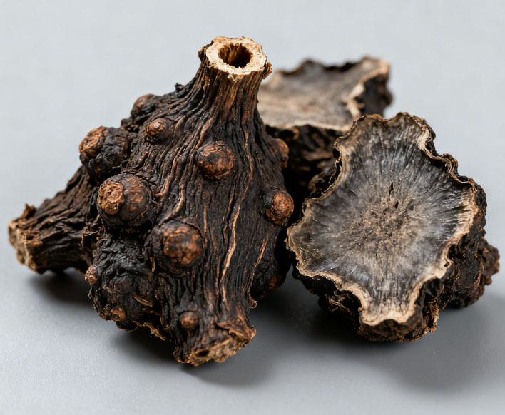 康都科普小课堂——亮肤常用中药系列第八讲：附子